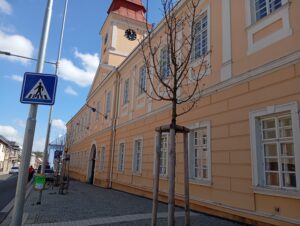 IMG_20250416_130140 (1)